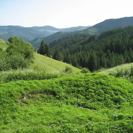 Smilen Smolyan
